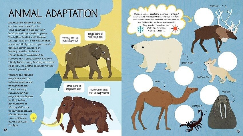 STEM Starters: Biology Activity Book