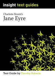 Insight Text Guides: Jane Eyre