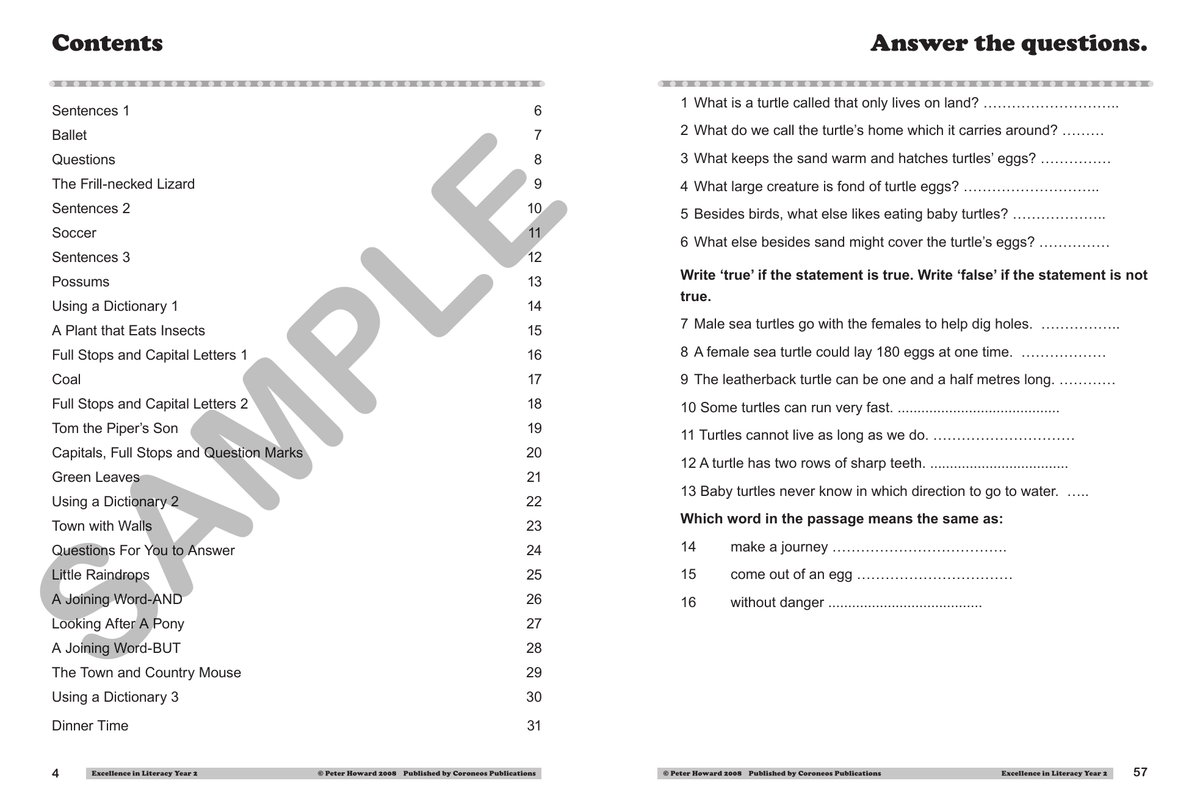 Excellence in Literacy Year 2 sample page