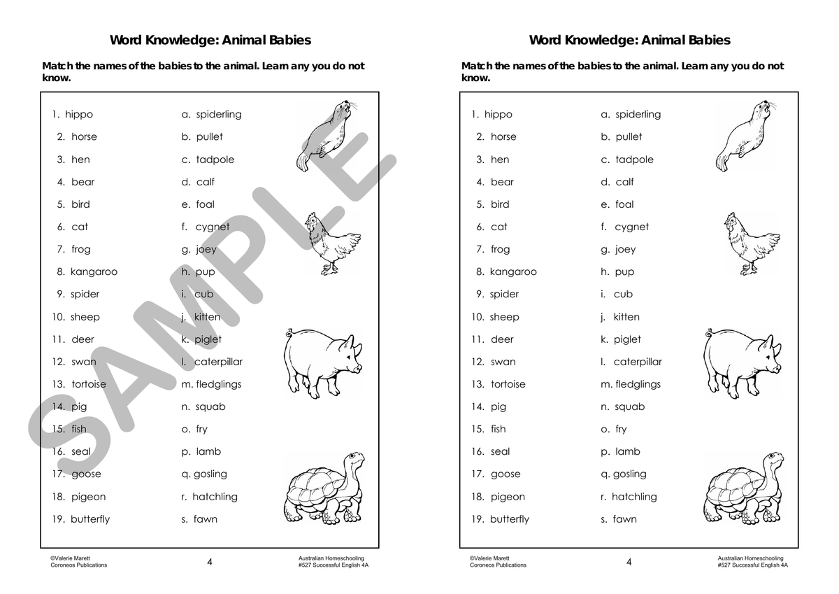 Successful English 4A (Year 4) sample page