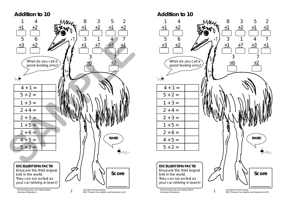Practise Your Addition and Subtraction to 20 sample page