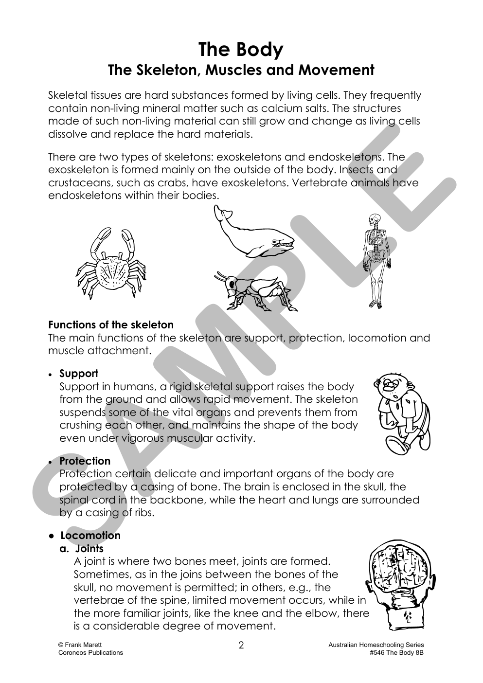 Secondary Science 8B: The Body sample page