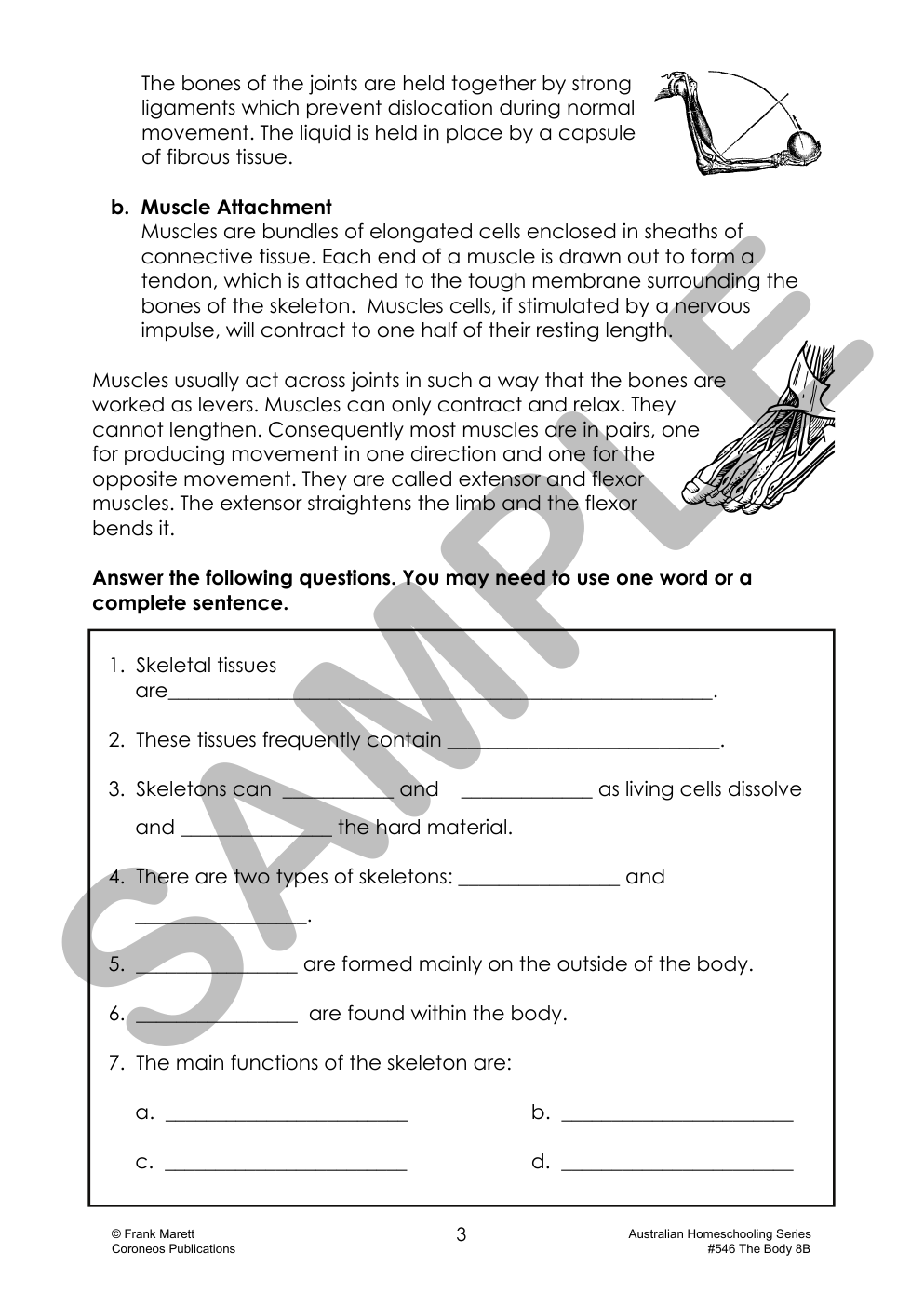 Secondary Science 8B: The Body sample page