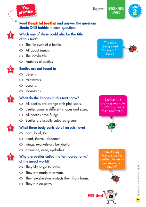 Back to Basics - Reading and Writing: Year 3
