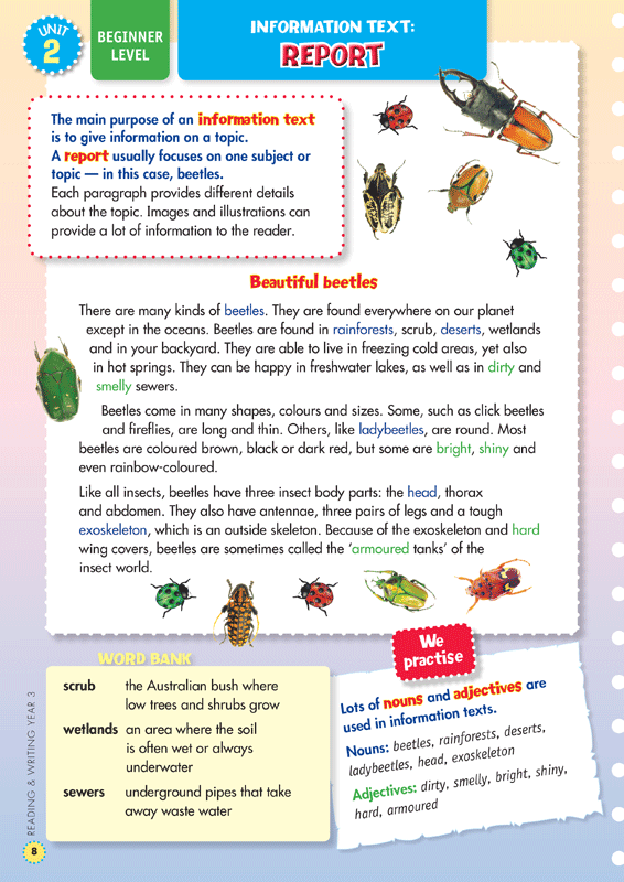 Back to Basics - Reading and Writing: Year 3