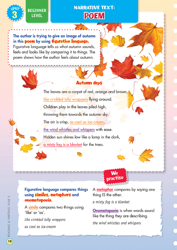 Back to Basics - Reading and Writing: Year 3