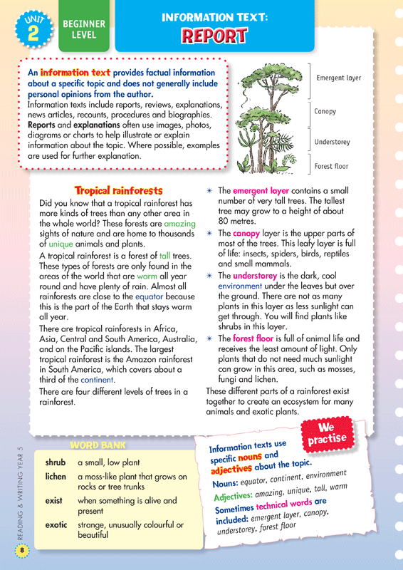 Back to Basics - Reading and Writing: Year 5