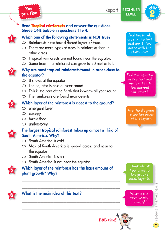Back to Basics - Reading and Writing: Year 5