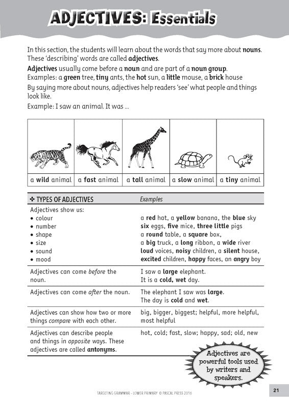 Targeting Grammar - Teacher's Guide: Lower Primary