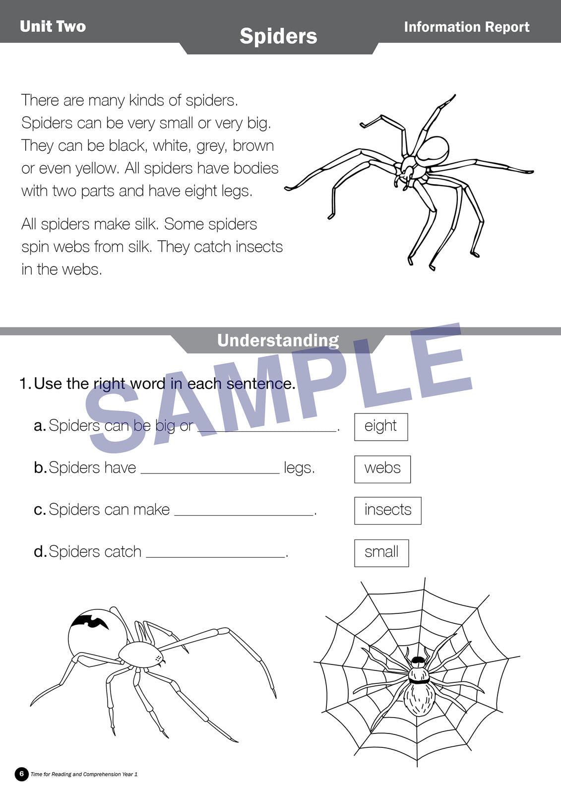 Time for Reading Comprehension - Year 1
