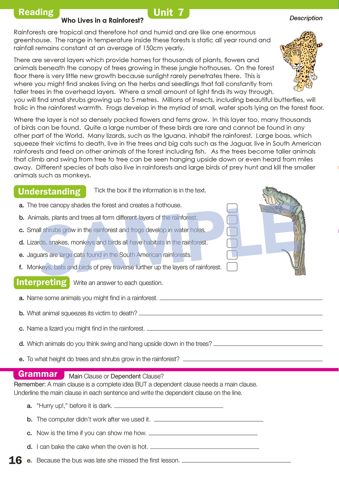 Time for Homework - Year 5