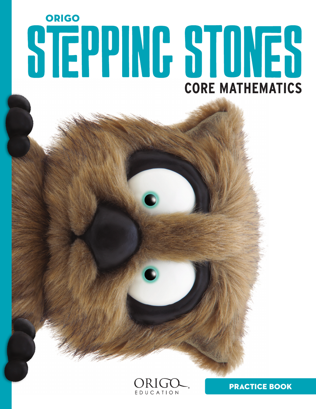 Stepping Stones - Student Practice Book: Foundation cover