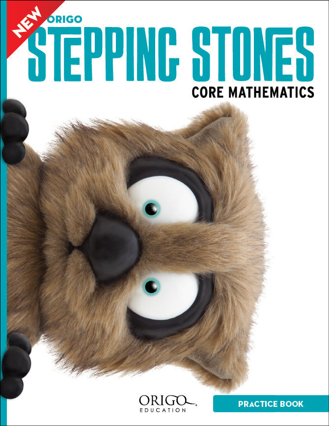 Stepping Stones - Student Practice Book: Foundation