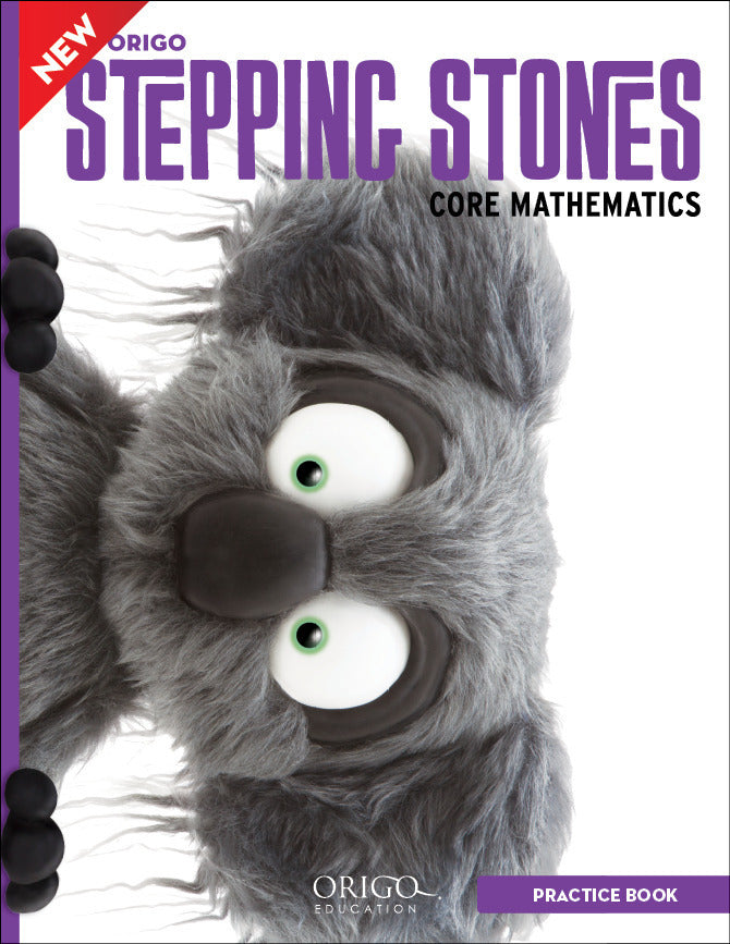 Stepping Stones - Student Practice Book: Year 3