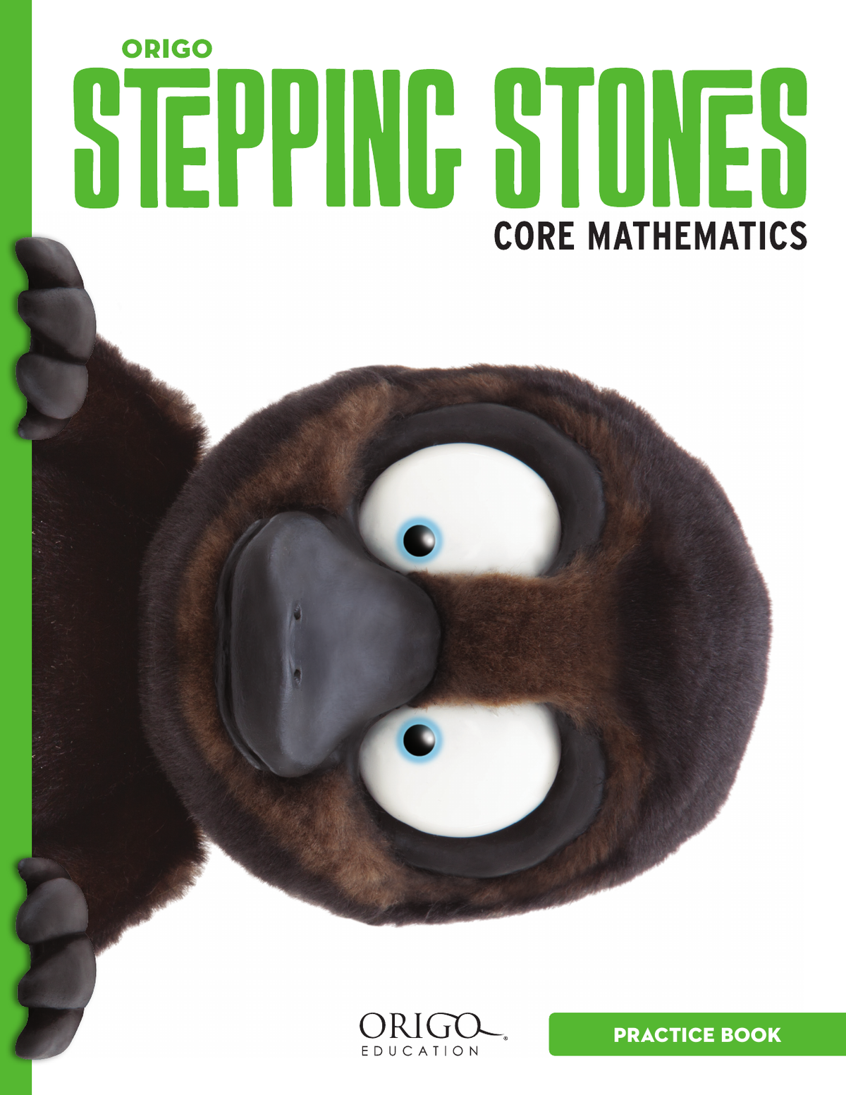 Stepping Stones - Student Practice Book: Year 4 cover