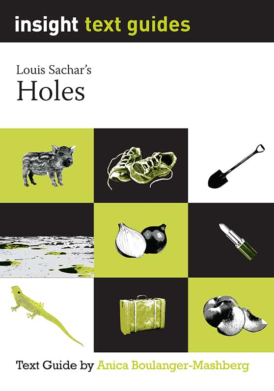 Insight Text Guides: Holes