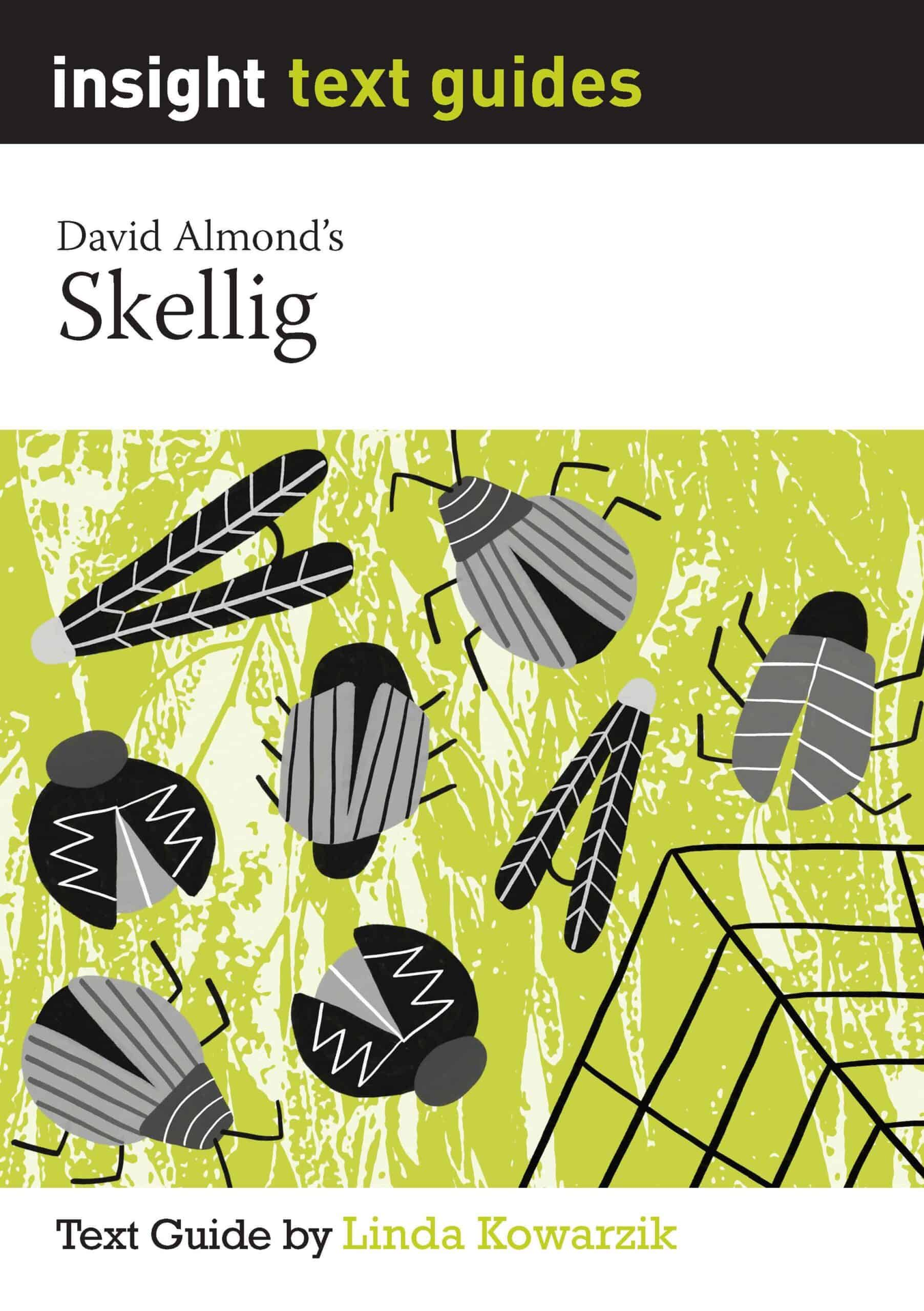 Insight Text Guides: Skellig