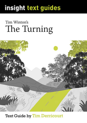 Insight Text Guides: The Turning