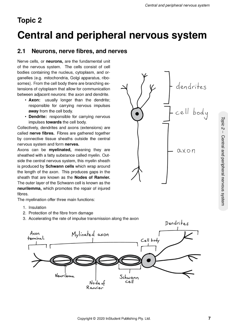 ATAR Notes WACE Year 12 Human Biology 3 & 4 Notes (2024-2026)