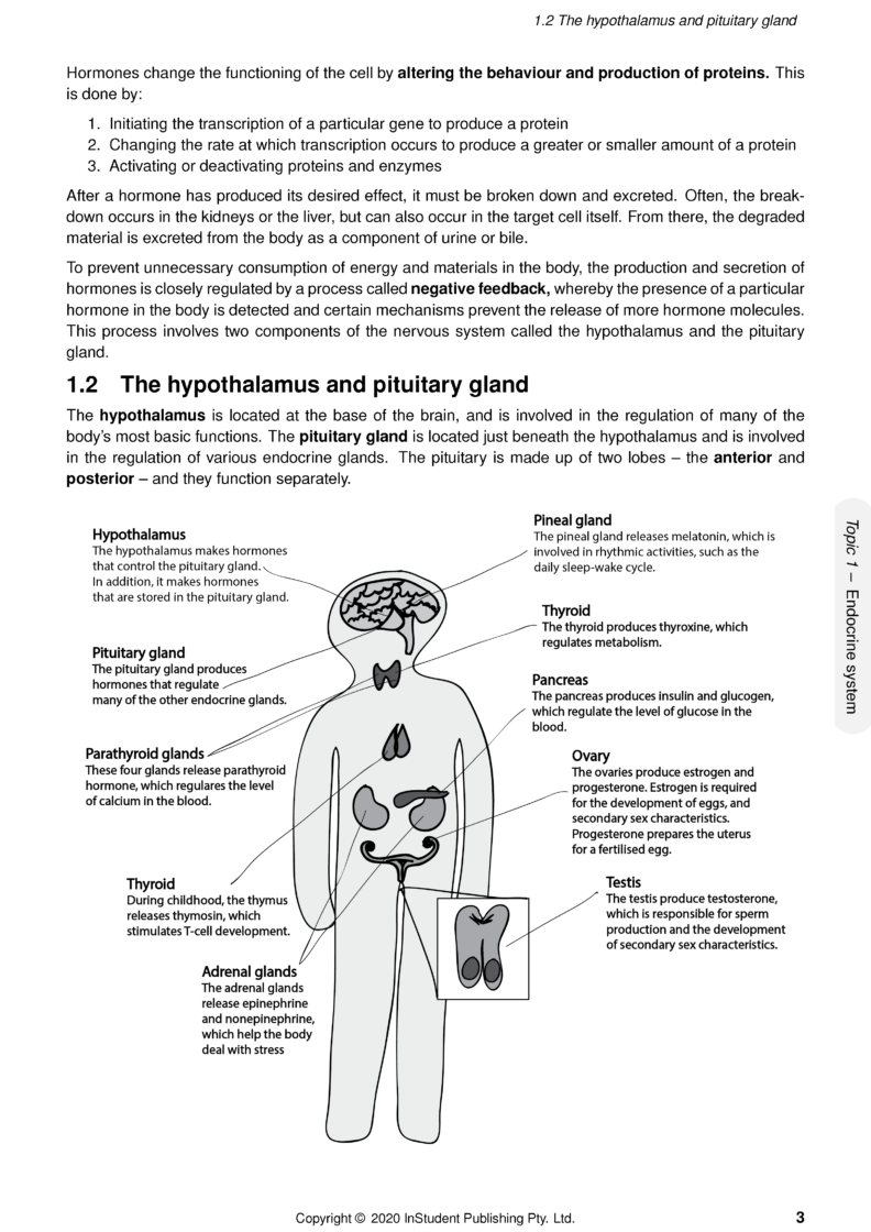 ATAR Notes WACE Year 12 Human Biology 3 & 4 Notes (2024-2026)