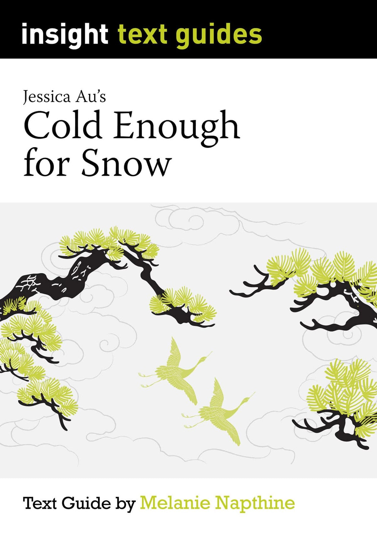 Insight Text Guides: Cold Enough for Snow