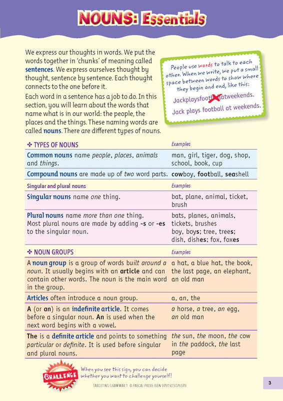 Targeting Grammar Activity Book 1