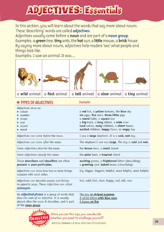 Targeting Grammar Activity Book 4