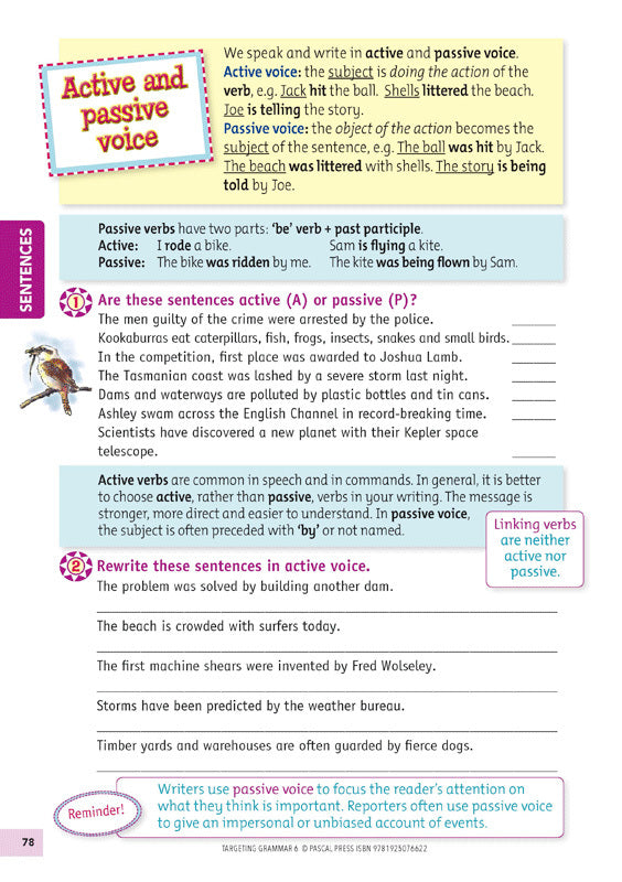Targeting Grammar Activity Book 6