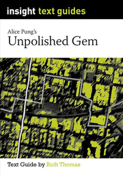 Insight Text Guides: Unpolished Gem