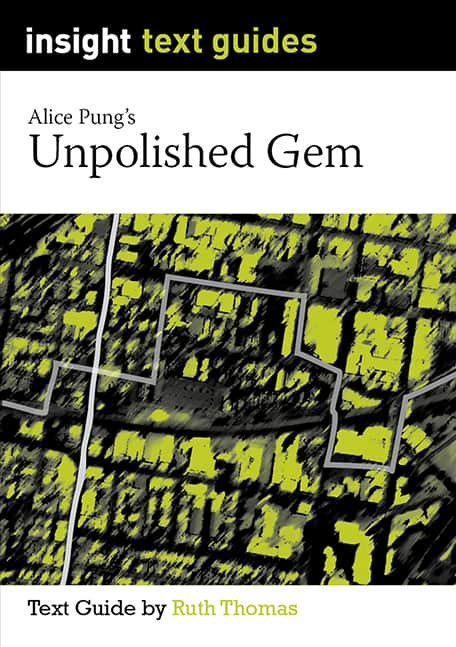 Insight Text Guides: Unpolished Gem