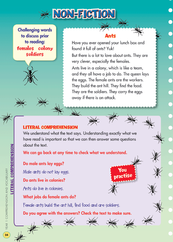 Back to Basics - Comprehension and Vocabulary: Year 1