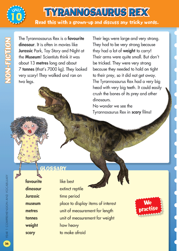 Back to Basics - Comprehension and Vocabulary: Year 1
