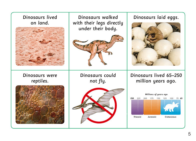 First Facts: Horn-Faced Dinosaurs