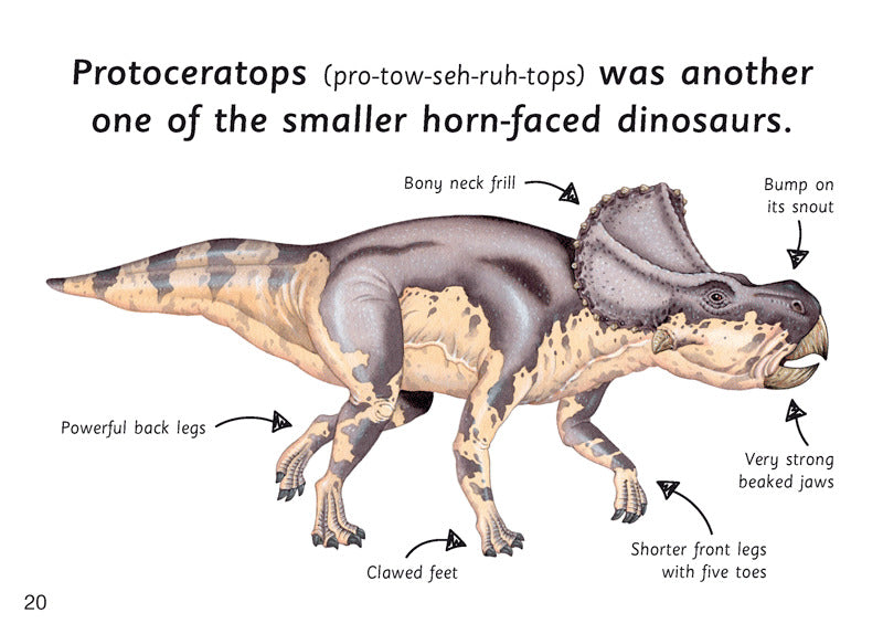 First Facts: Horn-Faced Dinosaurs