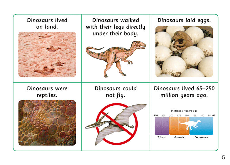 First Facts: Bird-Footed Dinosaurs