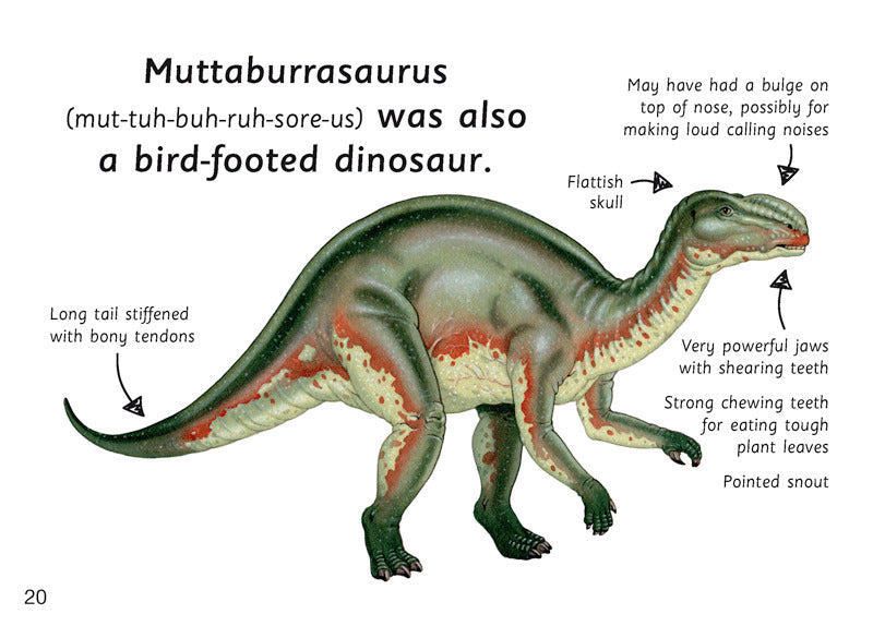 First Facts: Bird-Footed Dinosaurs