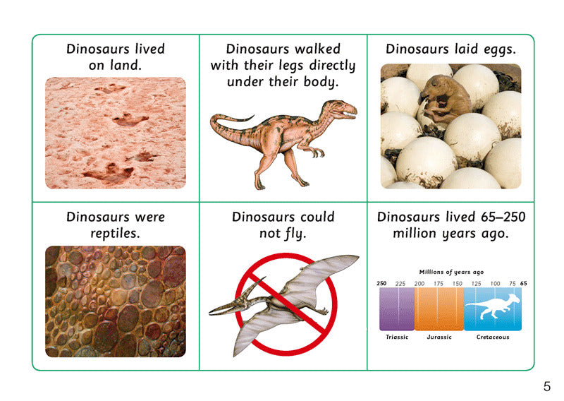 First Facts: Thick-Headed Dinosaurs