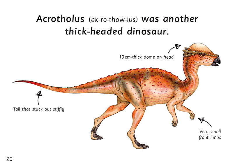 First Facts: Thick-Headed Dinosaurs