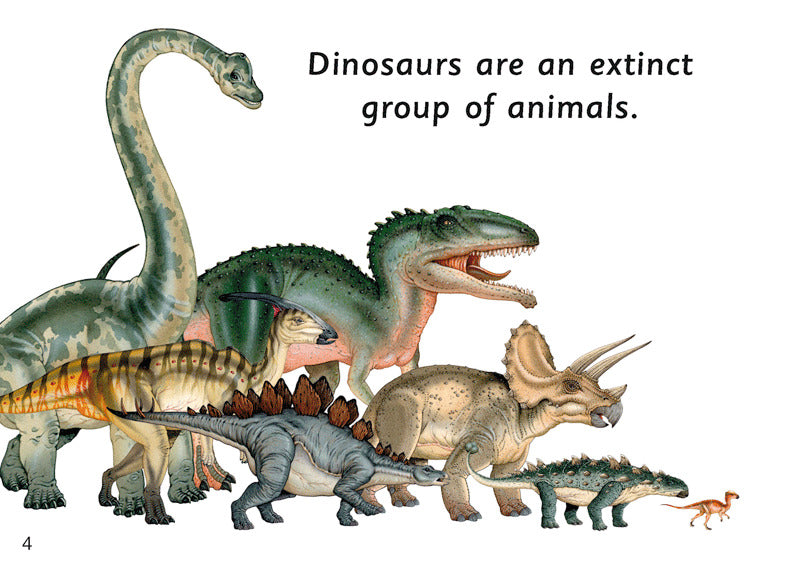 First Facts: Thick-Headed Dinosaurs