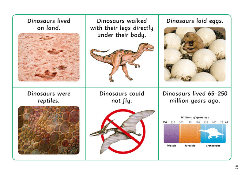 First Facts: Plated Dinosaurs