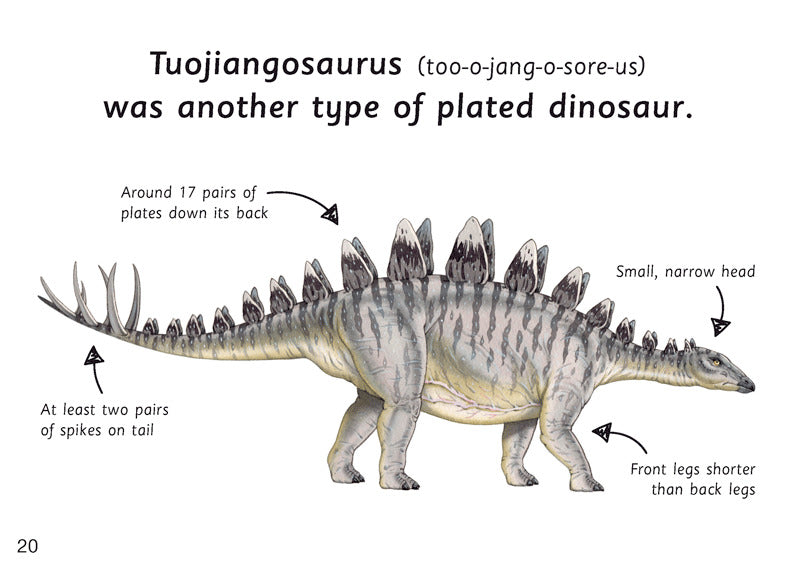 First Facts: Plated Dinosaurs