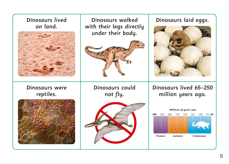 First Facts: Armour-Covered Dinosaurs