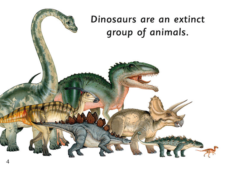 First Facts: Armour-Covered Dinosaurs