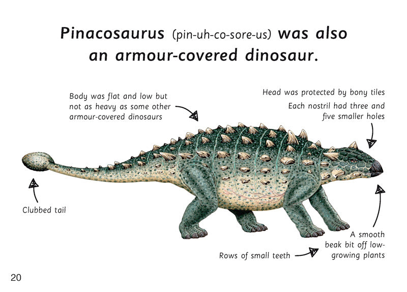 First Facts: Armour-Covered Dinosaurs