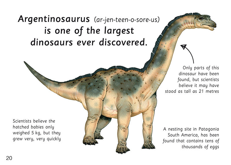 First Facts: Lizard-Footed Dinosaurs