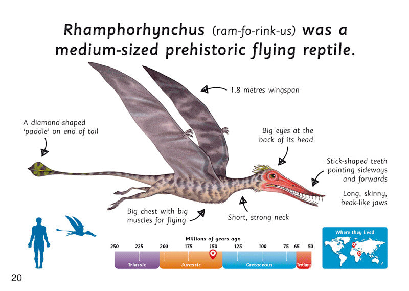 First Facts: Prehistoric Flying & Marine Reptiles