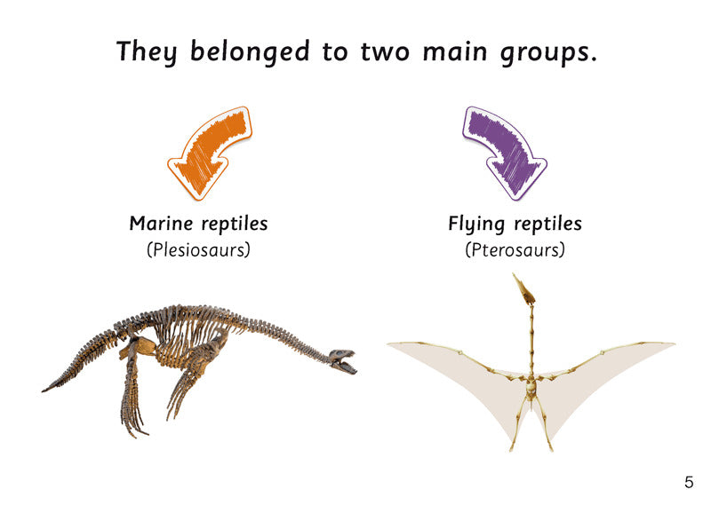 First Facts: Prehistoric Flying & Marine Reptiles