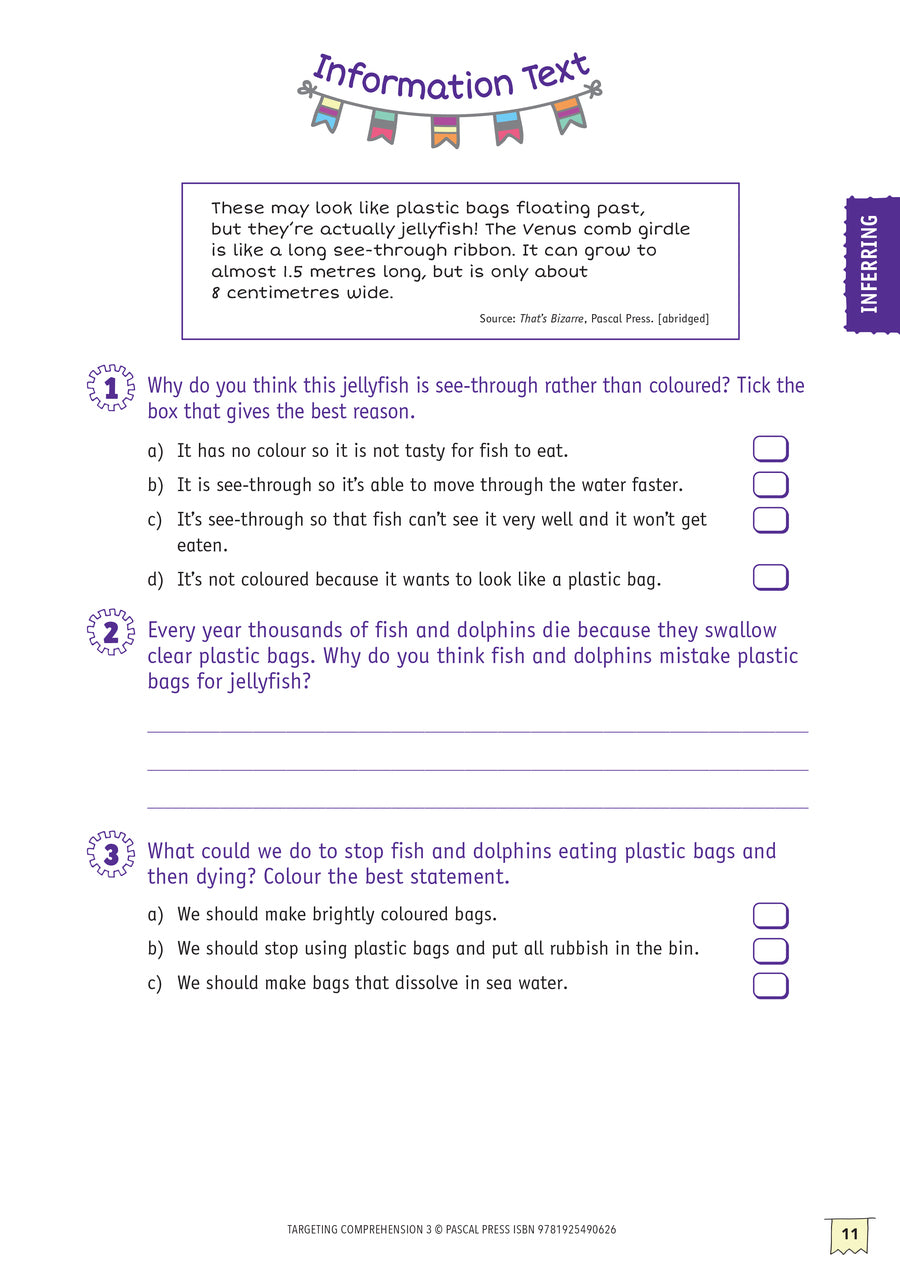 Targeting Comprehension Activity Book - Year 3