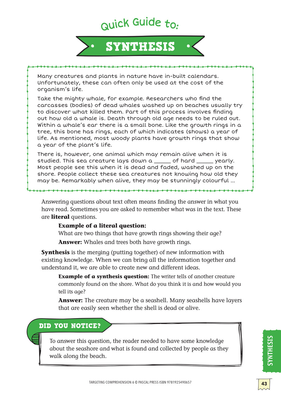 Targeting Comprehension Activity Book - Year 6