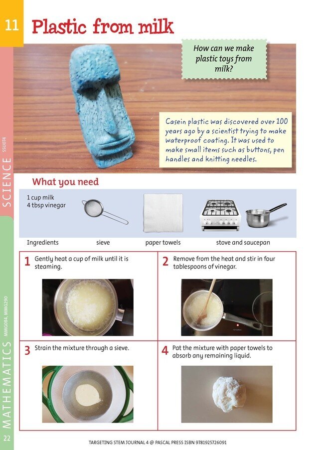 Targeting STEM Journal - Year 4